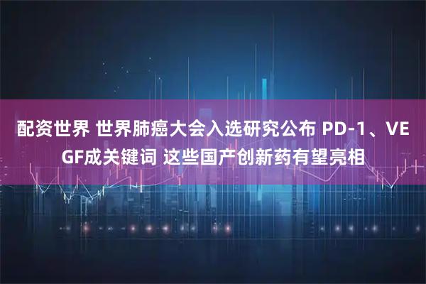 配资世界 世界肺癌大会入选研究公布 PD-1、VEGF成关键词 这些国产创新药有望亮相