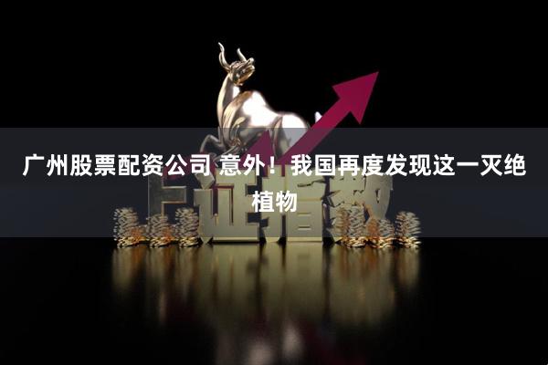 广州股票配资公司 意外！我国再度发现这一灭绝植物